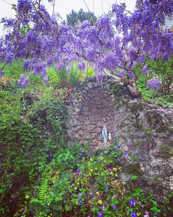 La Mansarda di Casa Vacanze La Vite Bordogna Esterno foto