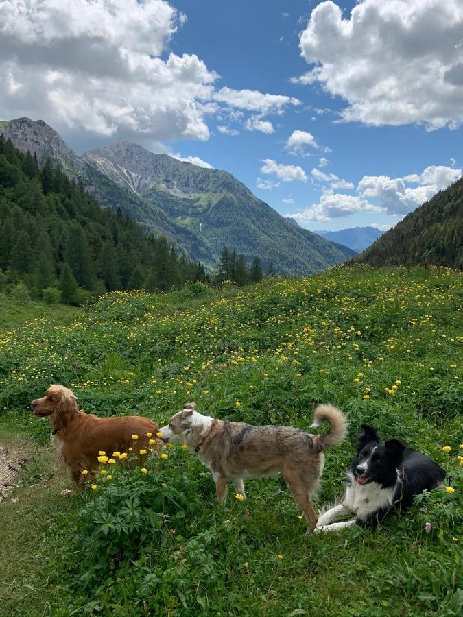 La Mansarda di Casa Vacanze La Vite Bordogna Esterno foto