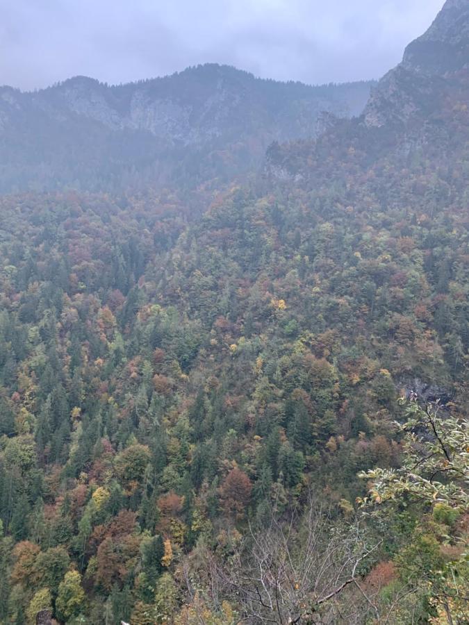 La Mansarda di Casa Vacanze La Vite Bordogna Esterno foto