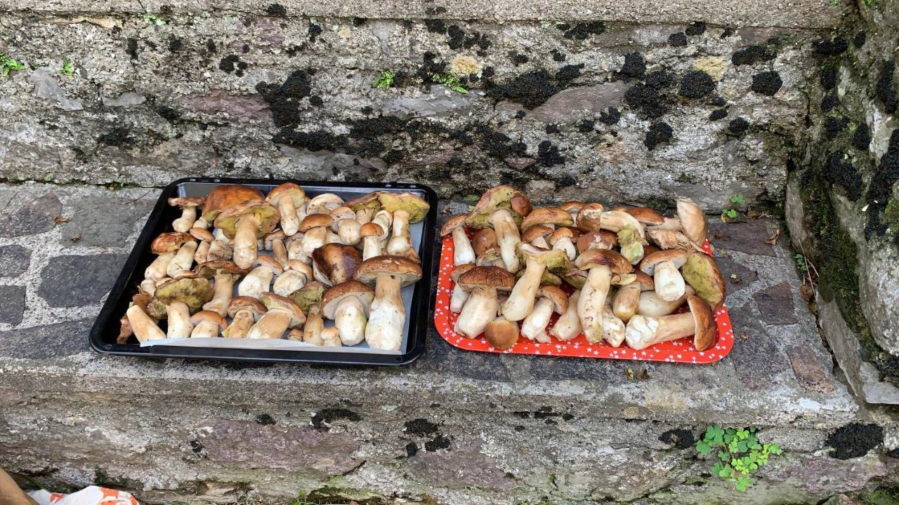 La Mansarda di Casa Vacanze La Vite Bordogna Esterno foto
